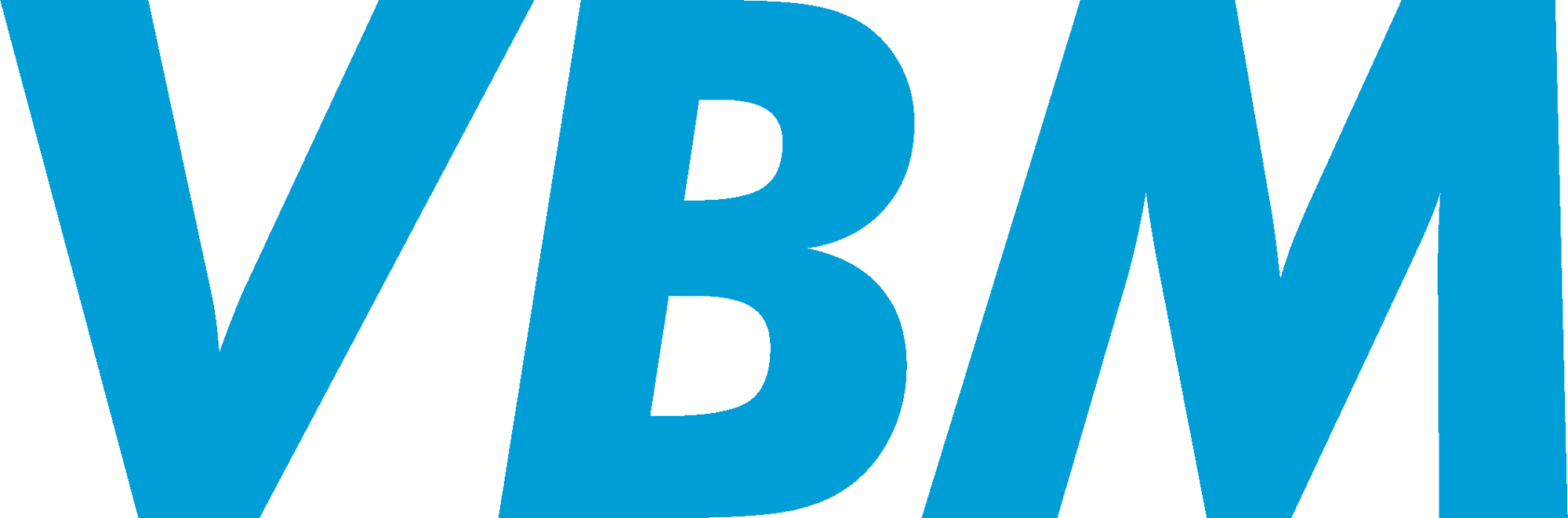 VBM_Logo_DRUCK_CMYK